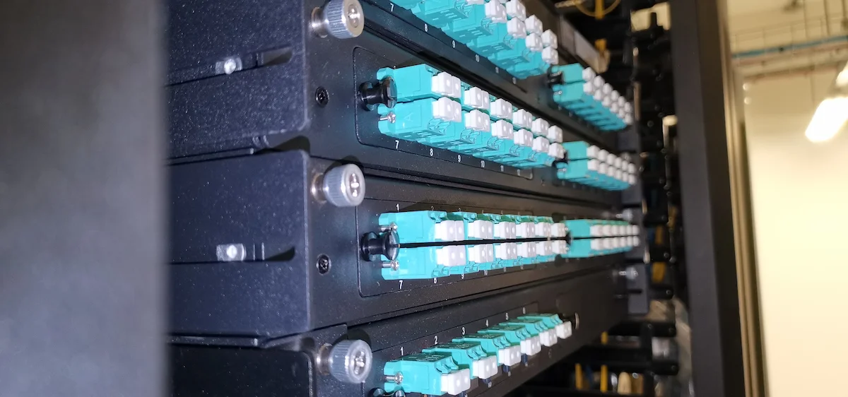 Government data and fibre infrastructure